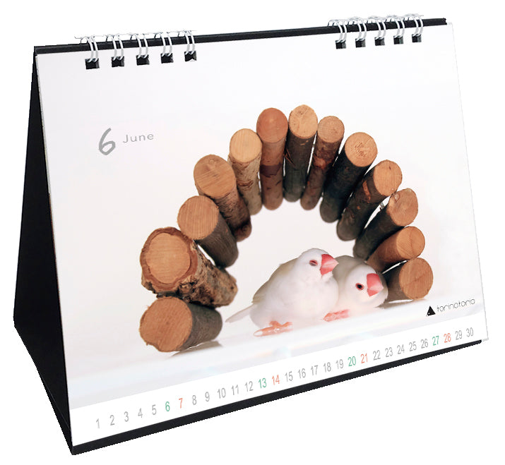 “Pre-order” 2026 Java Sparrow Desk Calendar
