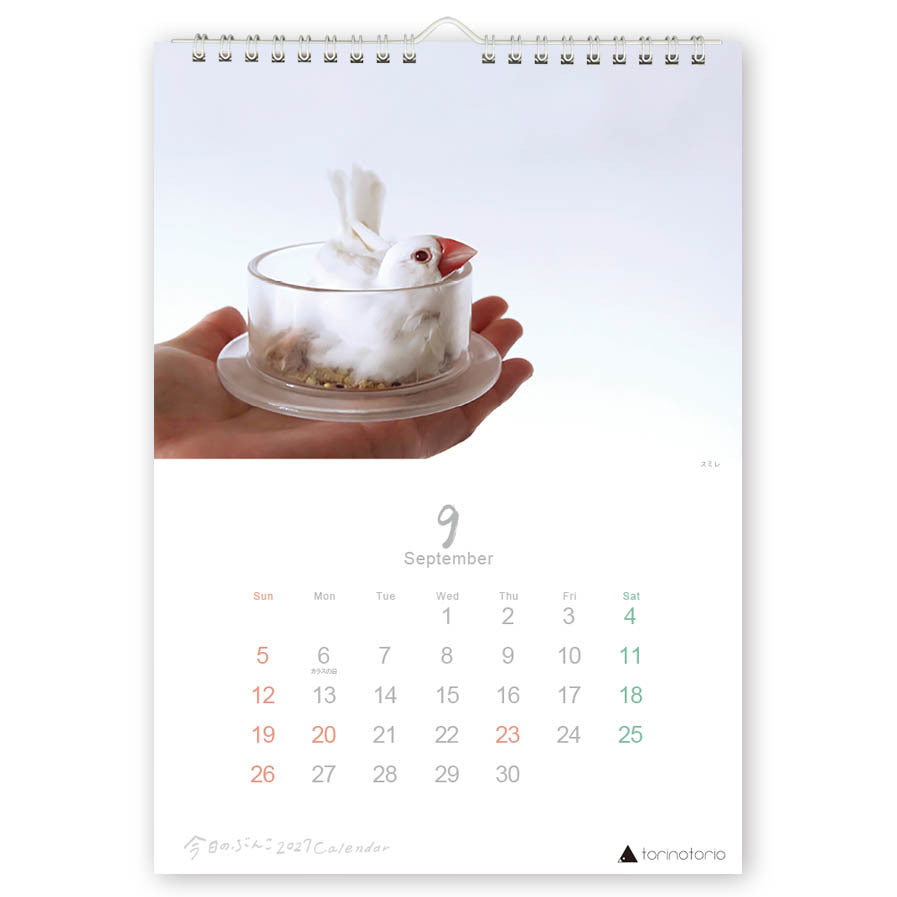 "Pre-order " 2027 Java Sparrow Wall Calendar