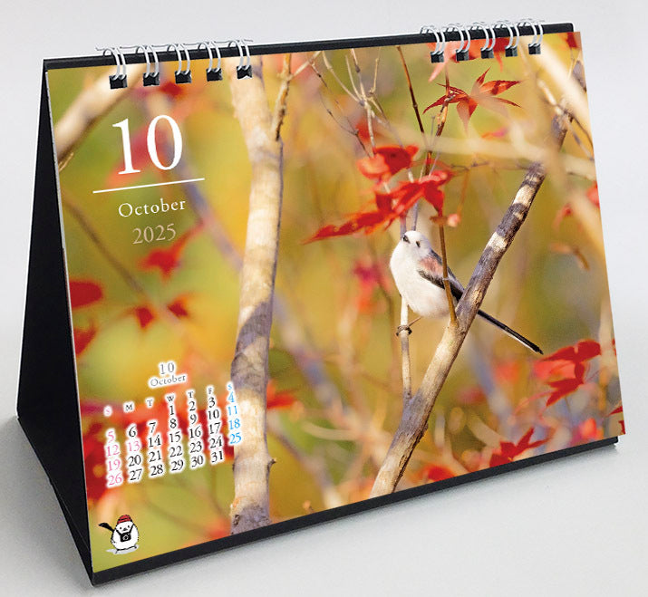 2025 Long-tailed Tit Four Season Desk Calendar