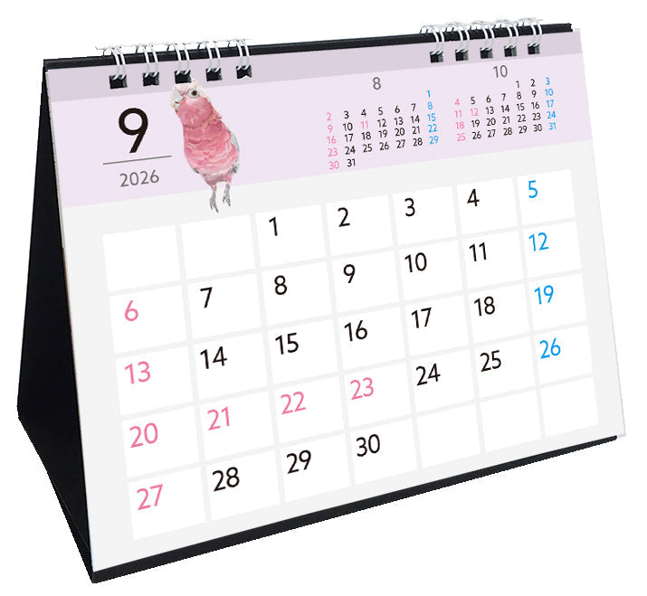 2026 Beautiful Birds Desk Calendar