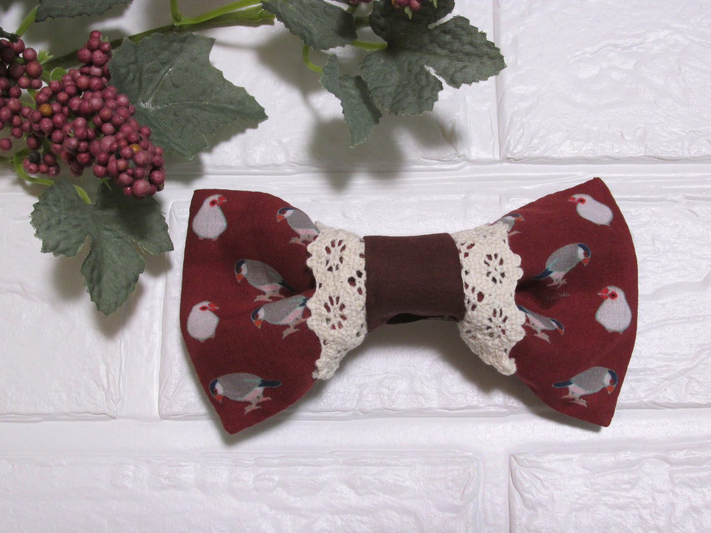 Java Sparrow Ribbon Barrette 3