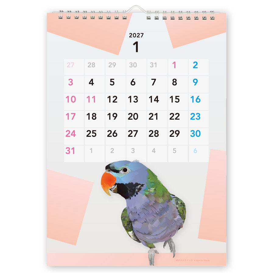 "Pre-order " 2027 Beautiful Birds Wall Calendar