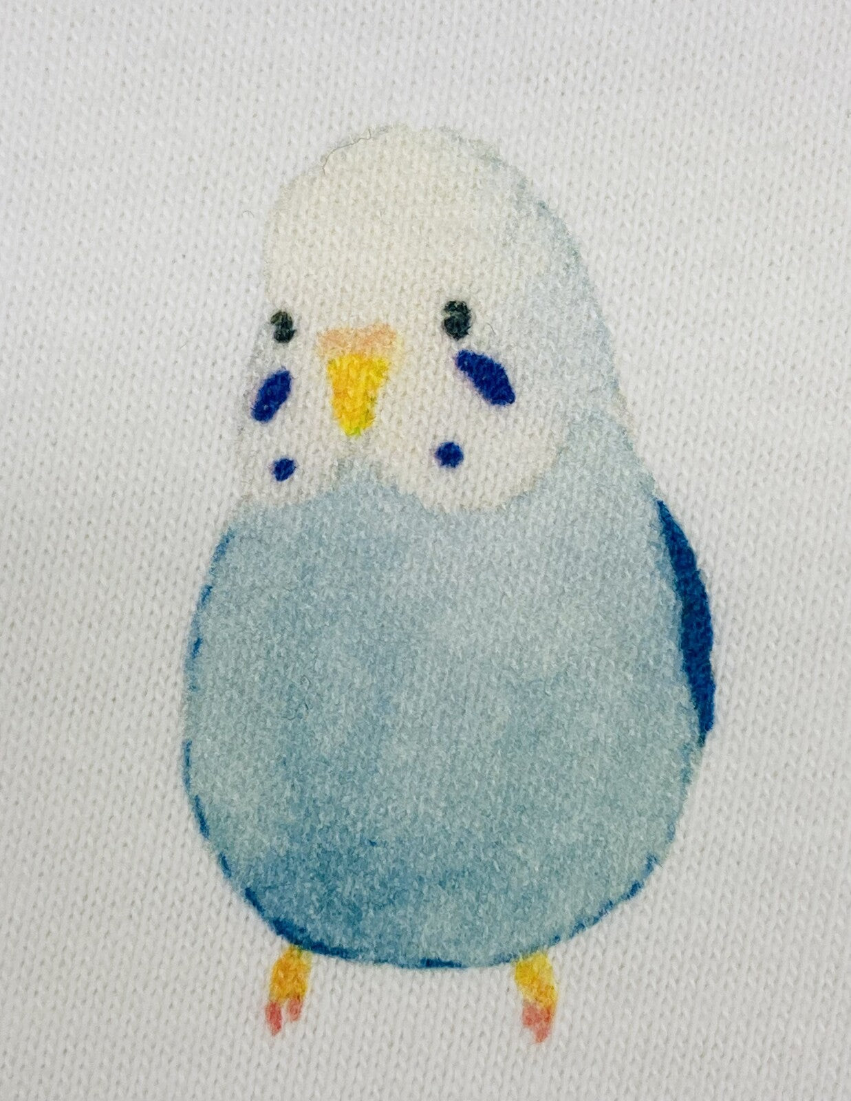 Budgie and Blue Flower Women's T-shirt (Made to Order)
