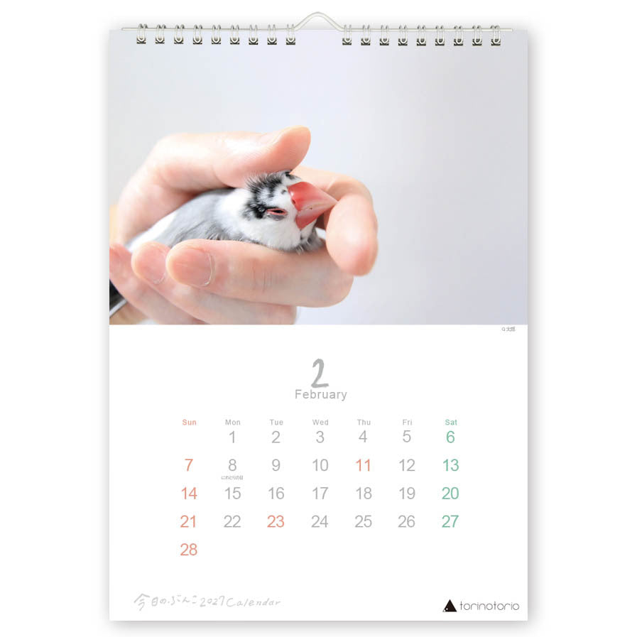 "Pre-order " 2027 Java Sparrow Wall Calendar