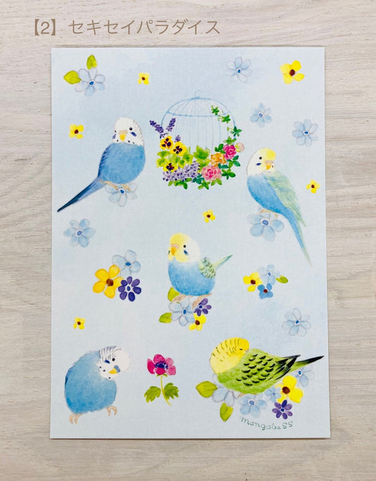 Budgie Paradise Postcard