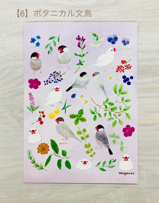 Botanical Java Sparrow Postcard