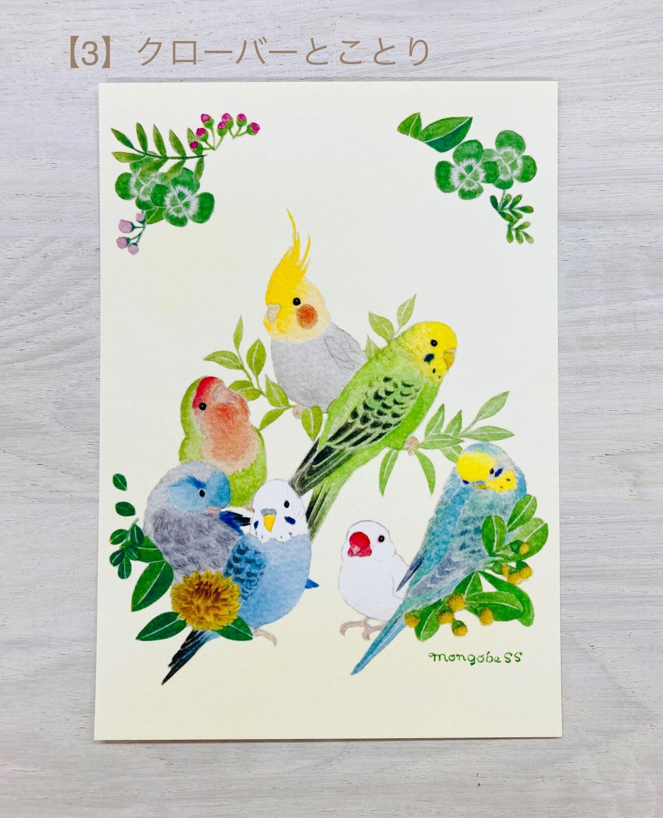 Clover & Birds Postcard