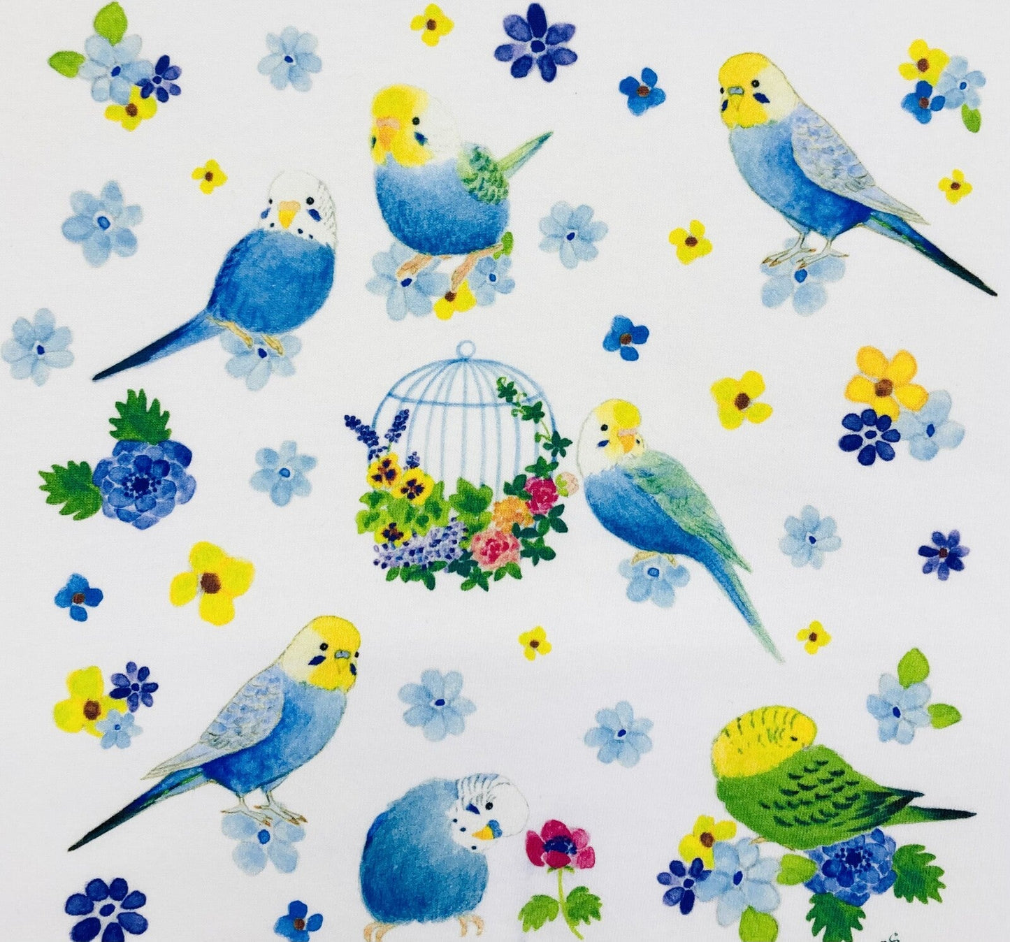 Budgie Paradise Loose Fit T-Shirt (Made to Order)