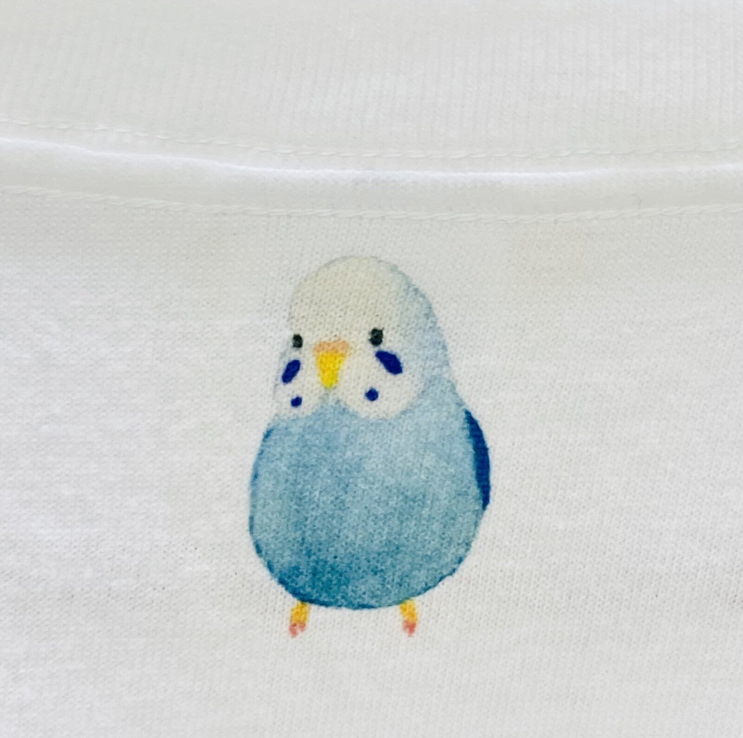 Budgie Paradise Loose Fit T-Shirt (Made to Order)
