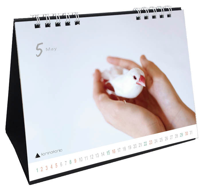 "Pre-order "  2027 Java Sparrow Desk Calendar