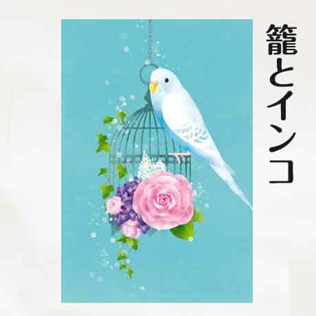 Budgie Postcards Set of 5