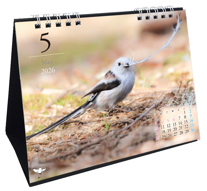 2026 Long-tailed Tit Desk Calendar