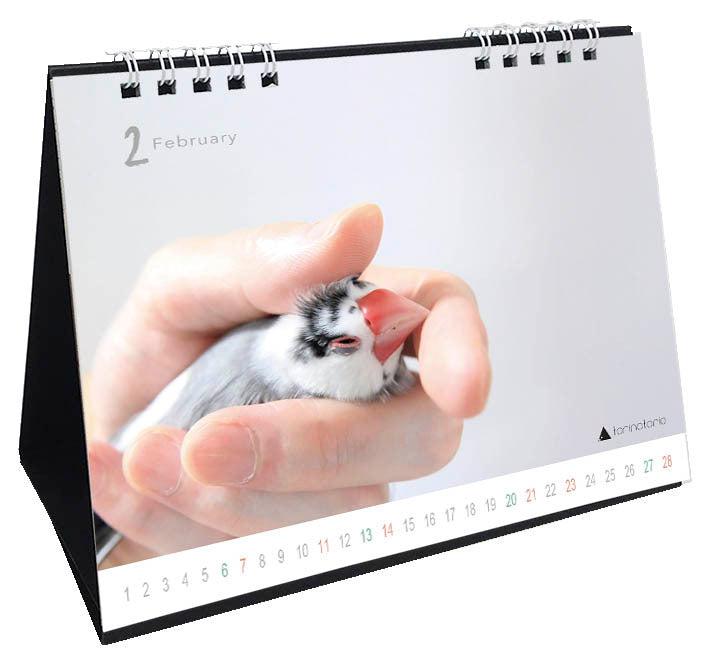 "Pre-order "  2027 Java Sparrow Desk Calendar