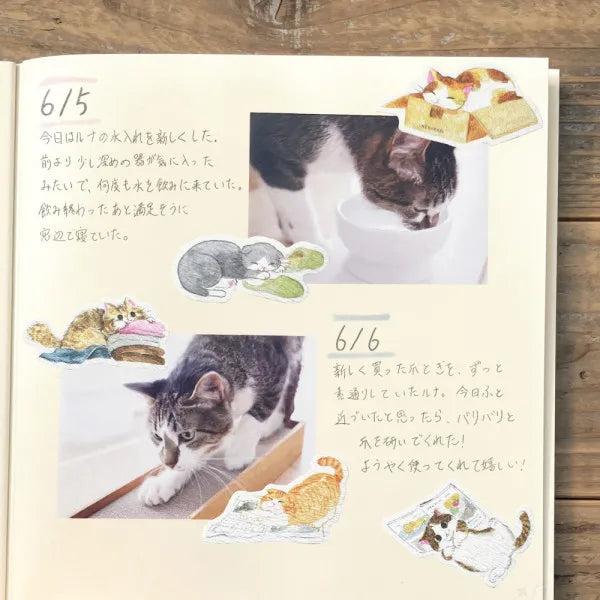 Cat Stickers Pack Nekorobi Cats Being Cats