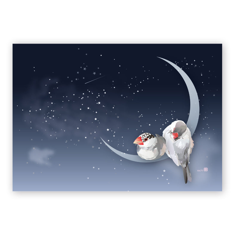 Java Sparrow Memo Pad