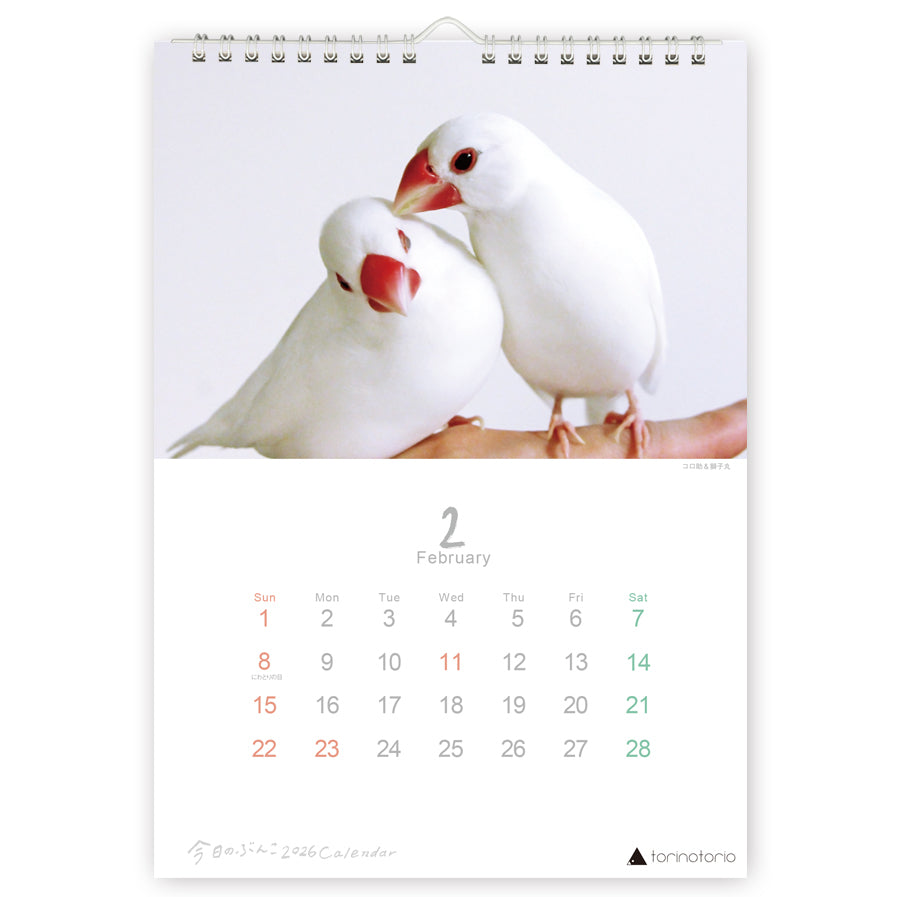 "Pre-order " 2026 Java Sparrow Wall Calendar