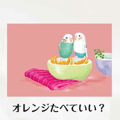 Budgie Postcards Set of 5