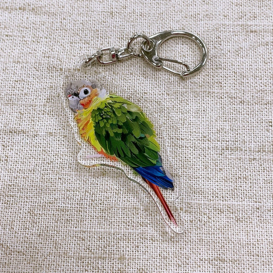 (Made-to-order requests are currently closed. Please wait until we reopen.) Made-to-Order Conure Acrylic Key Holder