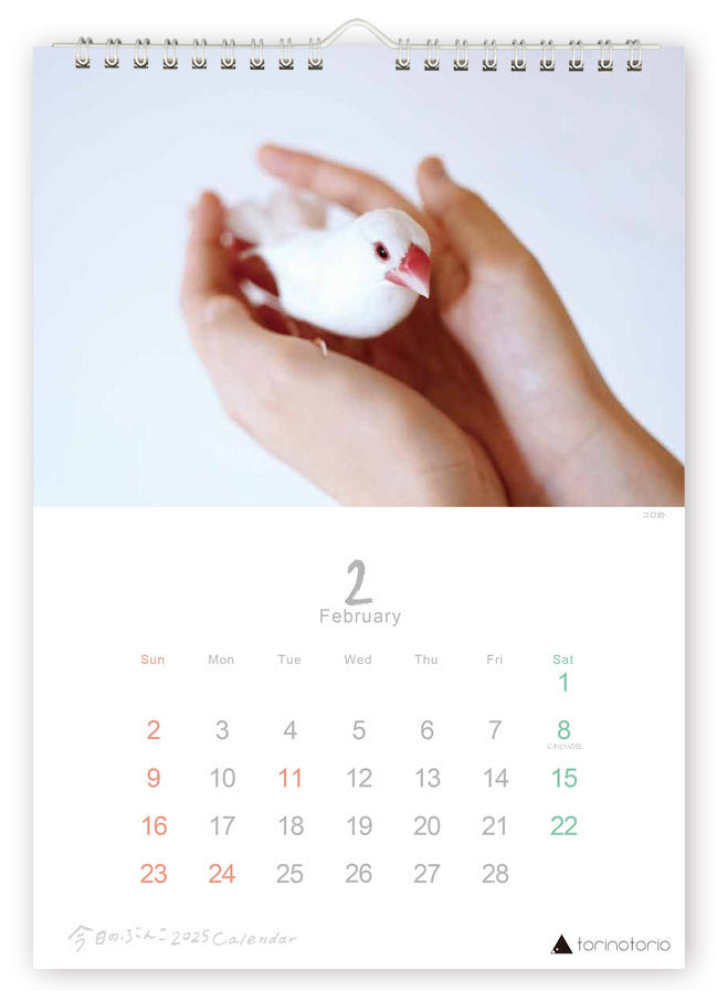 (PRE-ORDER) 2025 Java Sparrow Wall Calendar