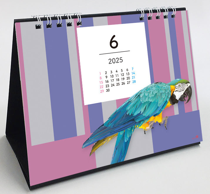 2025 Beautiful Birds Desk Calendar