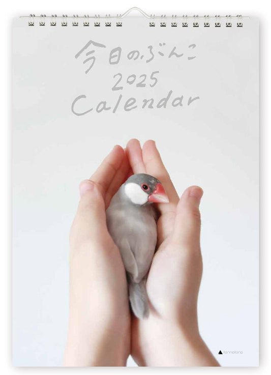 (PRE-ORDER) 2025 Java Sparrow Wall Calendar