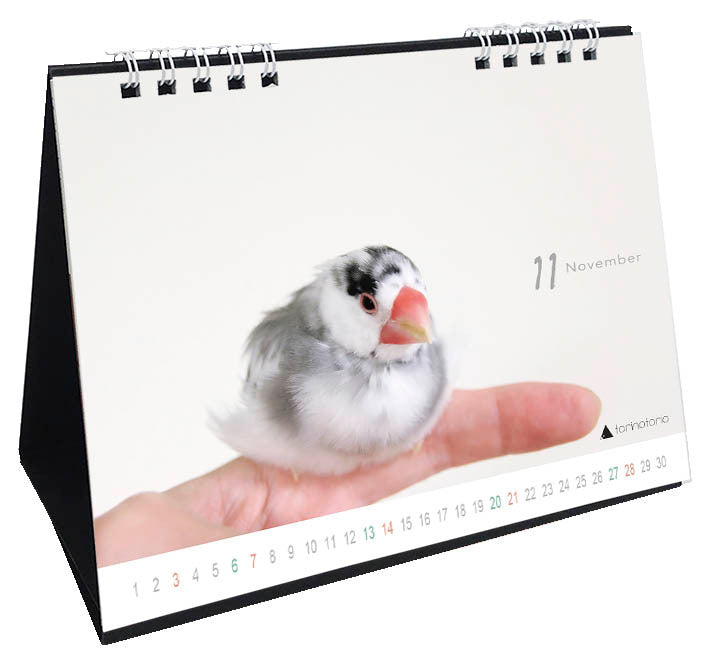 "Pre-order "  2027 Java Sparrow Desk Calendar