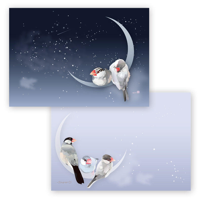 Java Sparrow Memo Pad