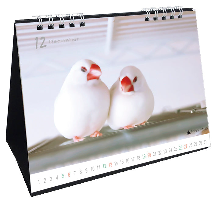 “Pre-order” 2026 Java Sparrow Desk Calendar