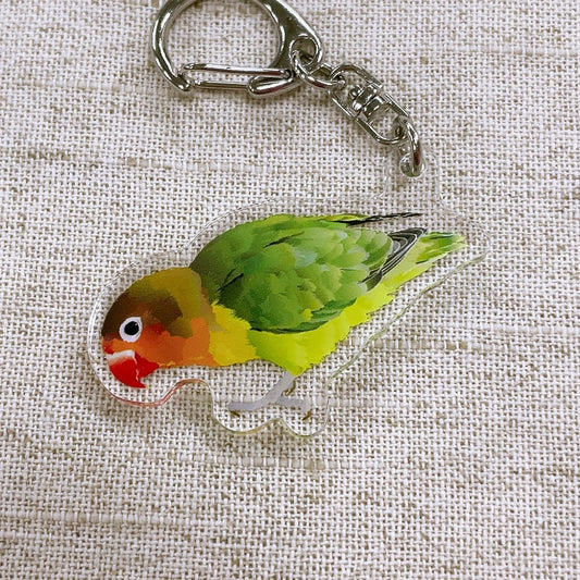 (Made-to-order requests are currently closed. Please wait until we reopen.) Made-to-Order Lovebird Acrylic Key Holder