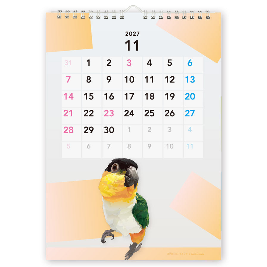 "Pre-order " 2027 Beautiful Birds Wall Calendar