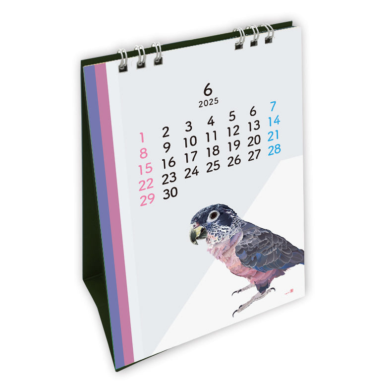 2025 Beautiful Birds Desk Calendar