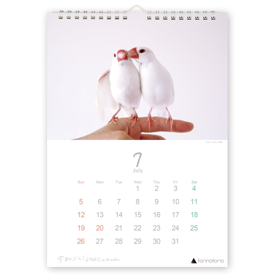 "Pre-order " 2026 Java Sparrow Wall Calendar