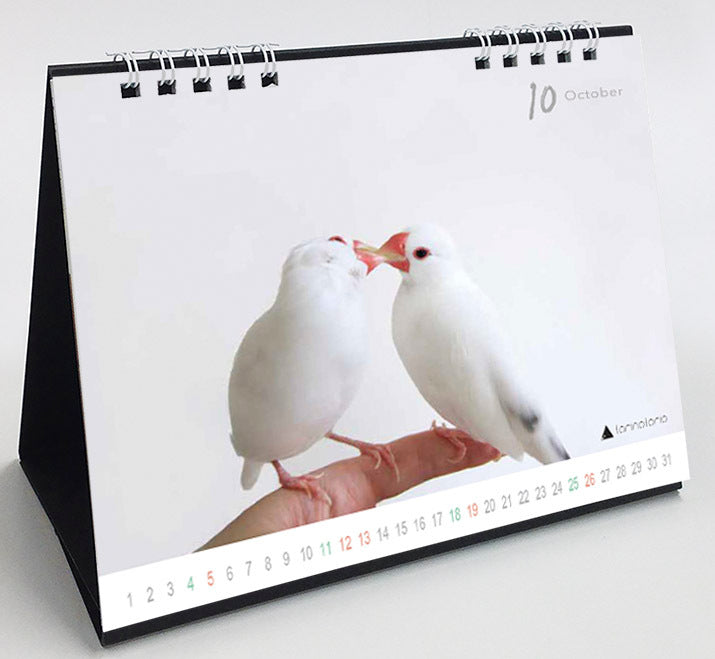 (PRE-ORDER) 2025 Java Sparrow Desk Calendar