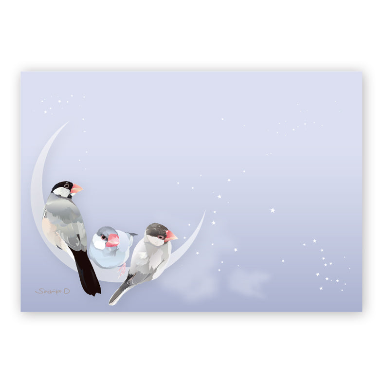 Java Sparrow Memo Pad
