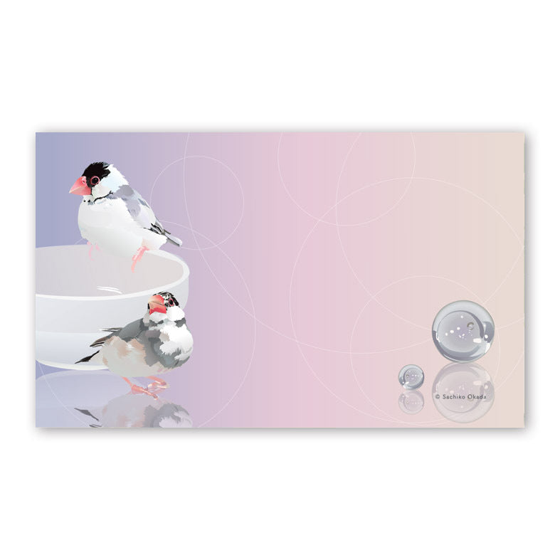 Set of 10 Java Sparrow Mini Message Card