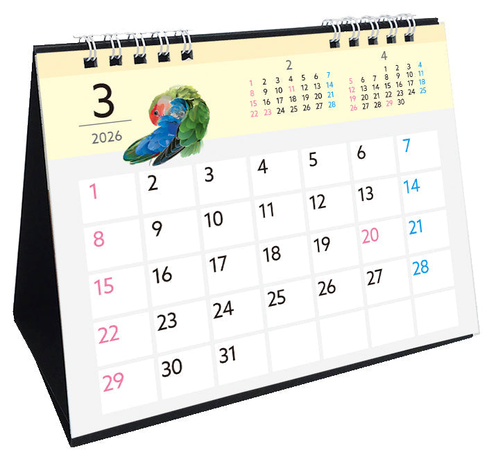 2026 Beautiful Birds Desk Calendar