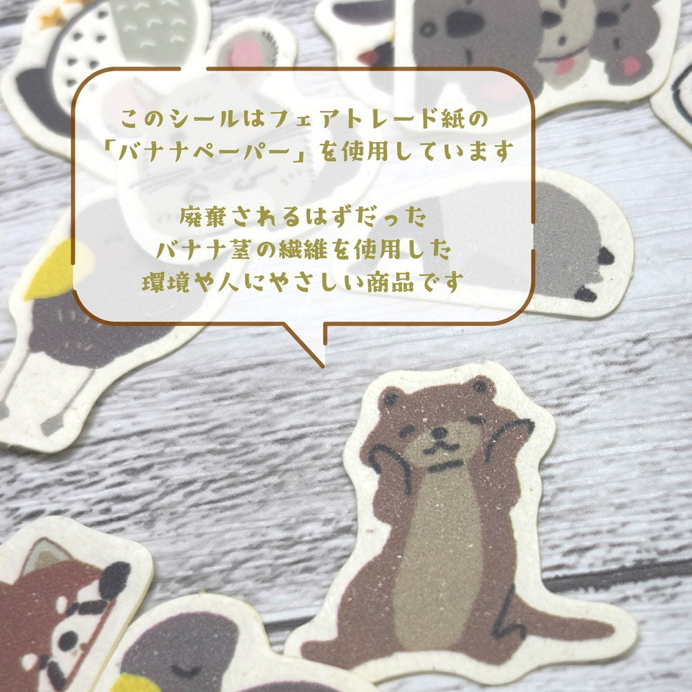 Emperor Penguin The Endangered Species Banana Paper Stickers Pack