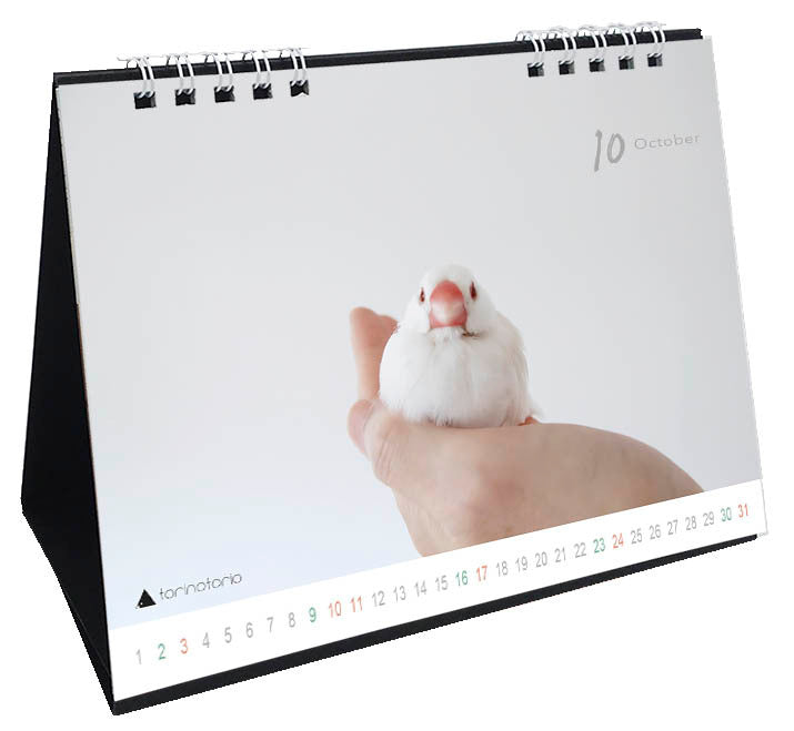 "Pre-order "  2027 Java Sparrow Desk Calendar