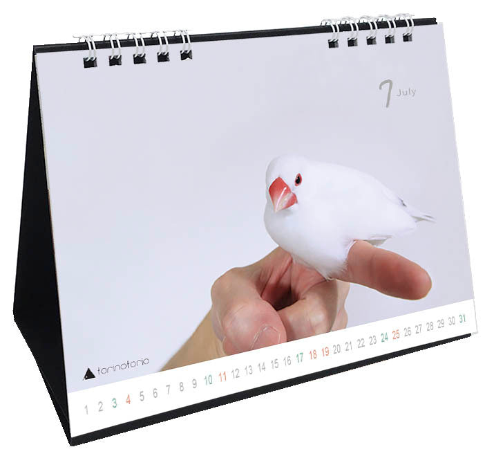"Pre-order "  2027 Java Sparrow Desk Calendar
