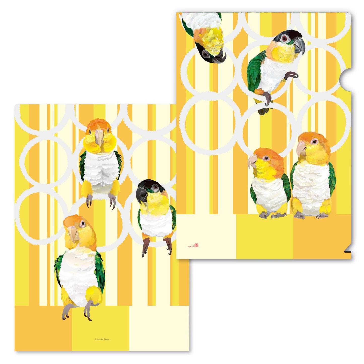 White-bellied Caique Black-headed Caique A4 File Folder Organizer