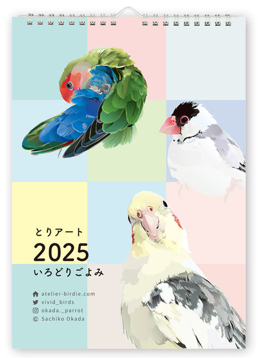 2025 Beautiful Birds Wall Calendar