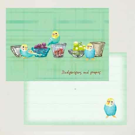Budgie Postcards Set of 5