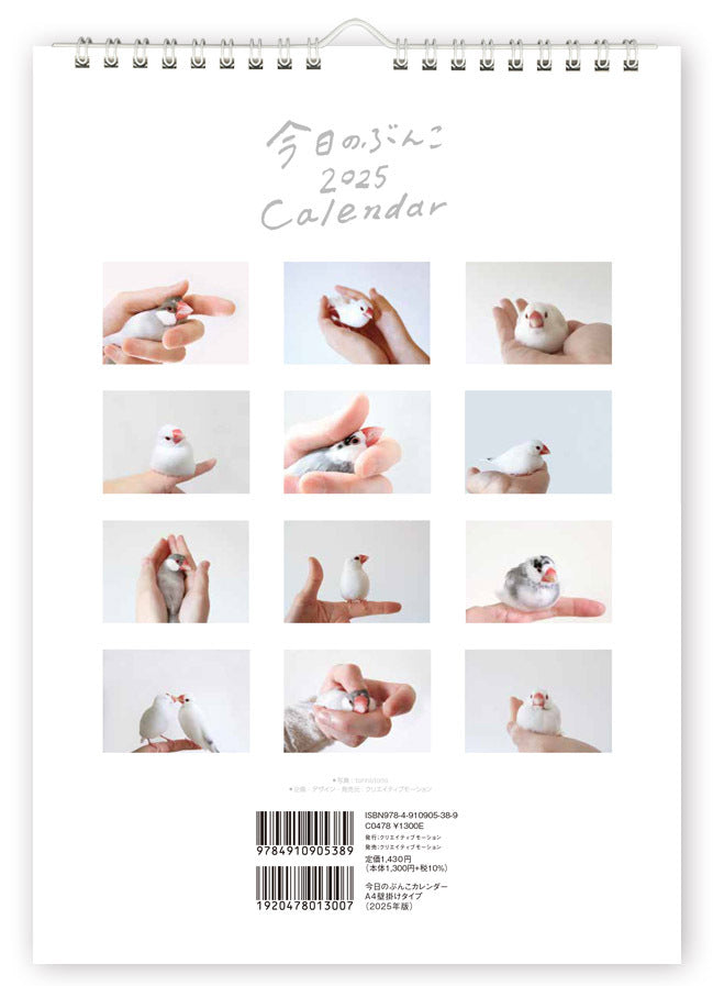 (PRE-ORDER) 2025 Java Sparrow Wall Calendar