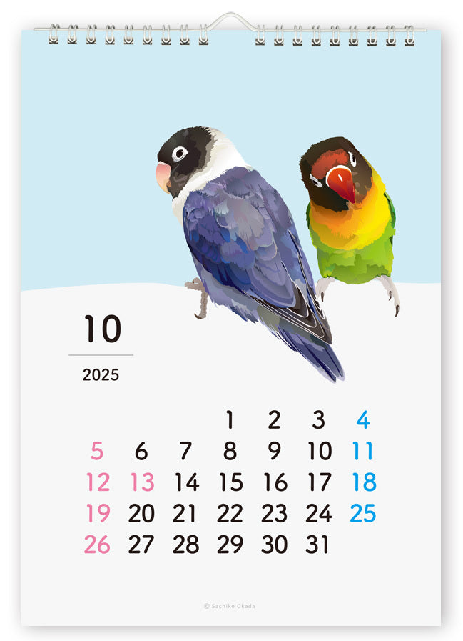 2025 Beautiful Birds Wall Calendar