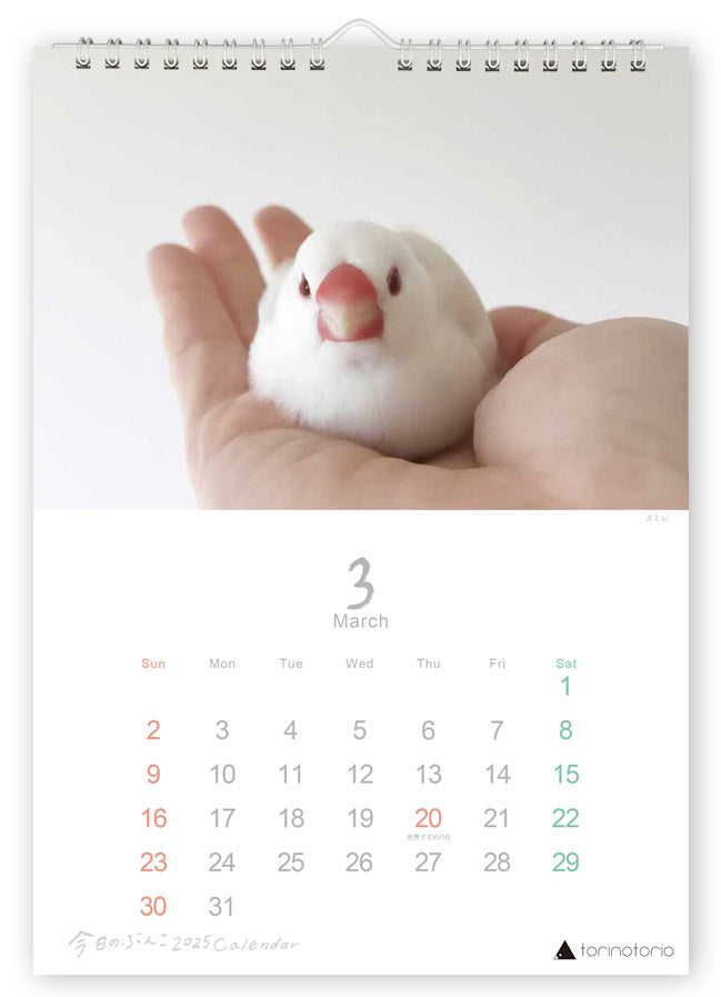 (PRE-ORDER) 2025 Java Sparrow Wall Calendar