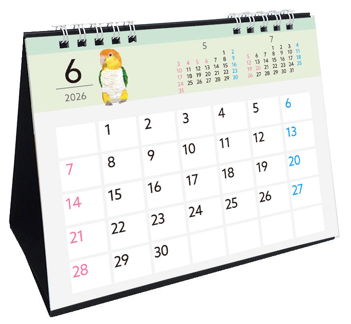 2026 Beautiful Birds Desk Calendar