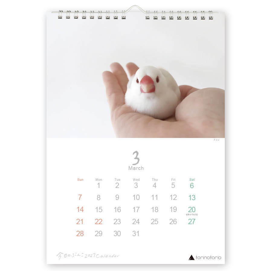 "Pre-order " 2027 Java Sparrow Wall Calendar