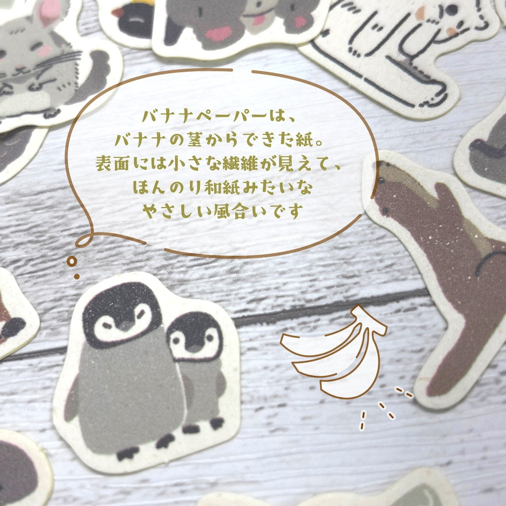Emperor Penguin The Endangered Species Banana Paper Stickers Pack