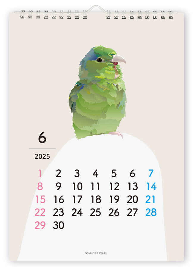 2025 Beautiful Birds Wall Calendar