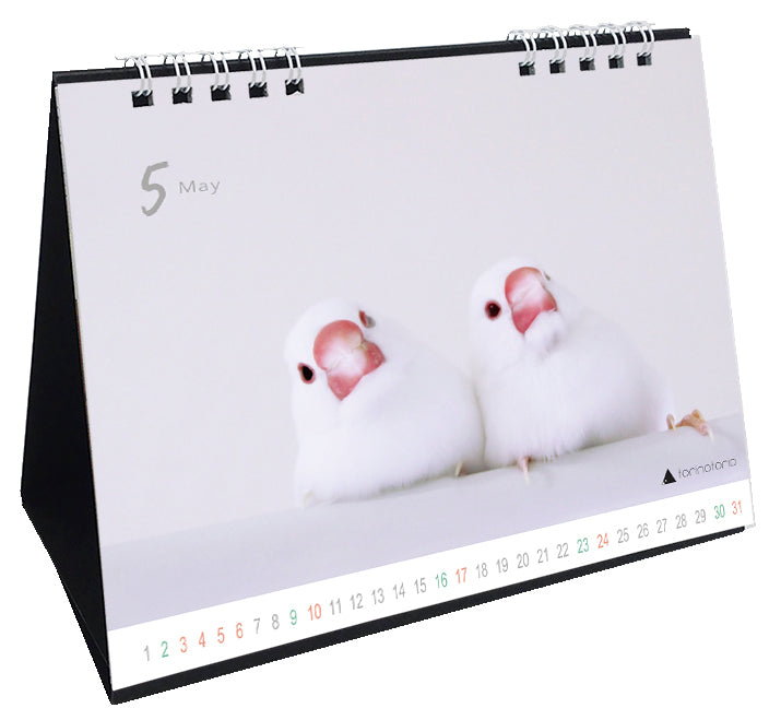 “Pre-order” 2026 Java Sparrow Desk Calendar